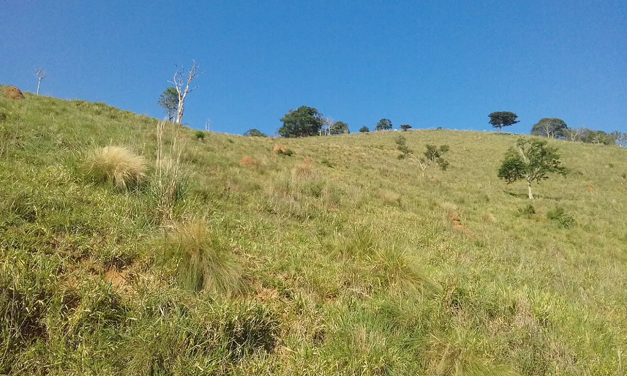 Terreno à venda de 7 ha em Monteiro Lobato, SP, Brasil