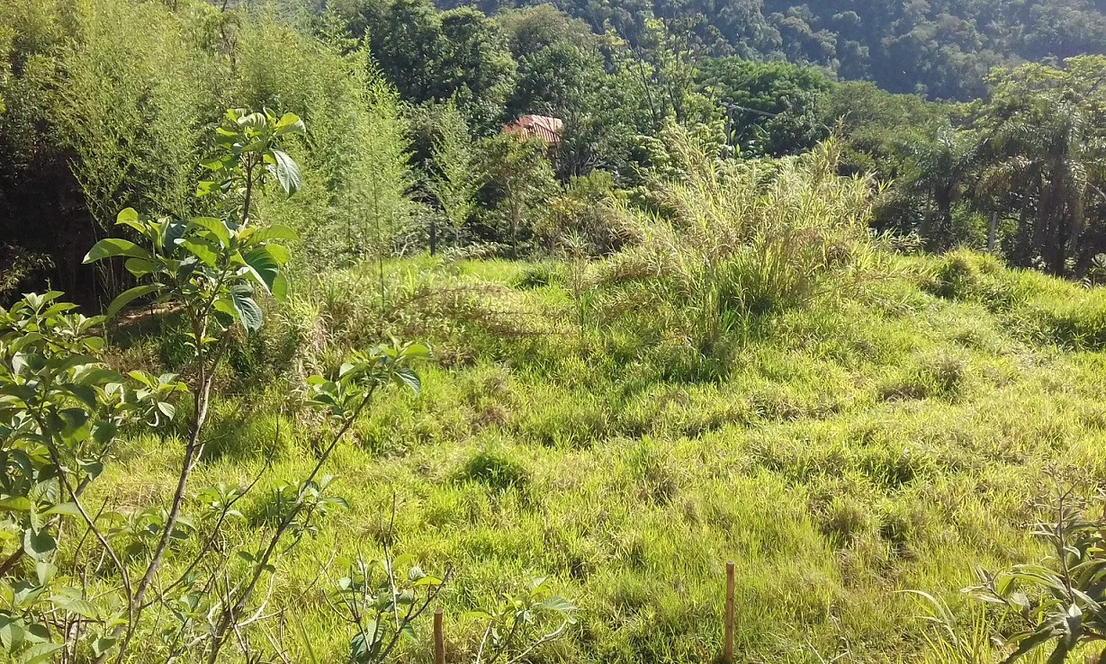 Terreno à venda de 7 ha em Monteiro Lobato, SP, Brasil