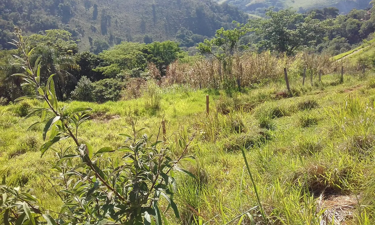 Terreno à venda de 7 ha em Monteiro Lobato, SP, Brasil