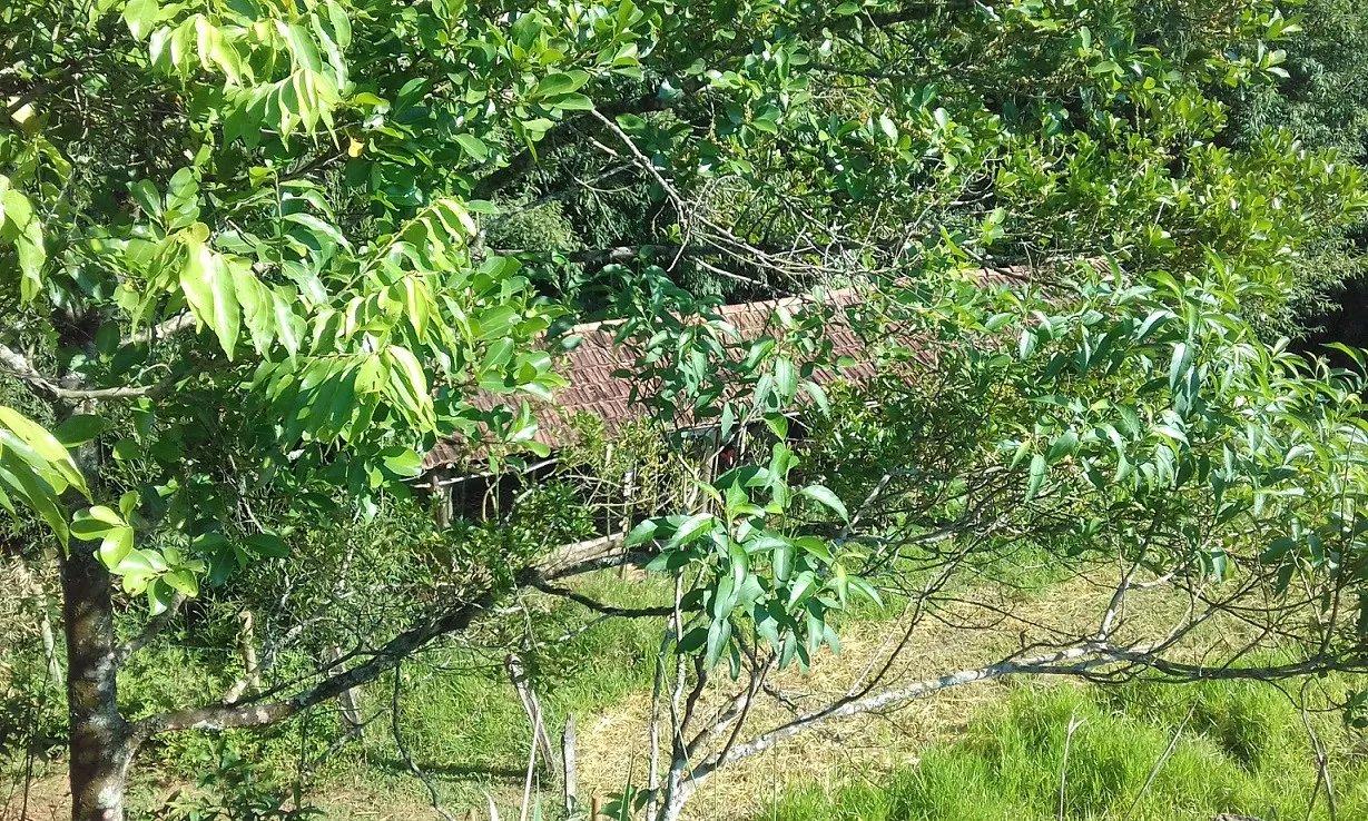 Terreno à venda de 7 ha em Monteiro Lobato, SP, Brasil
