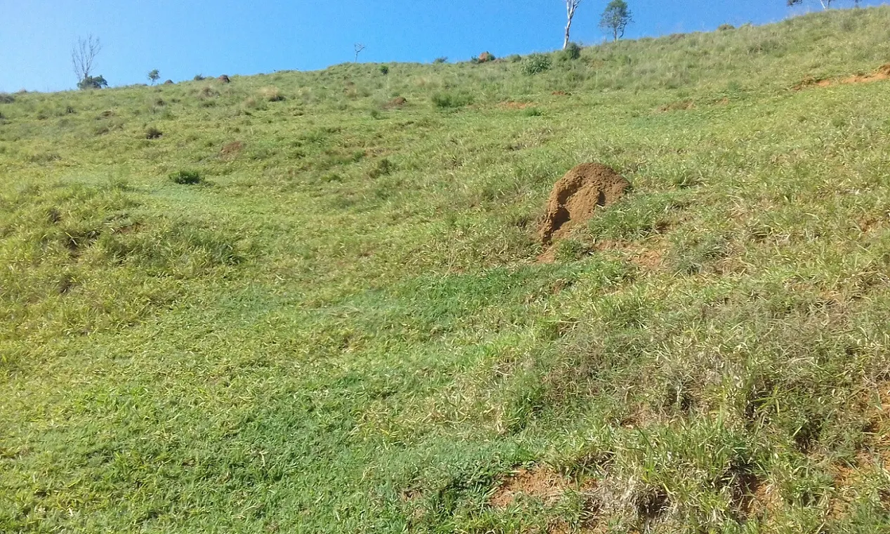 Terreno à venda de 7 ha em Monteiro Lobato, SP, Brasil