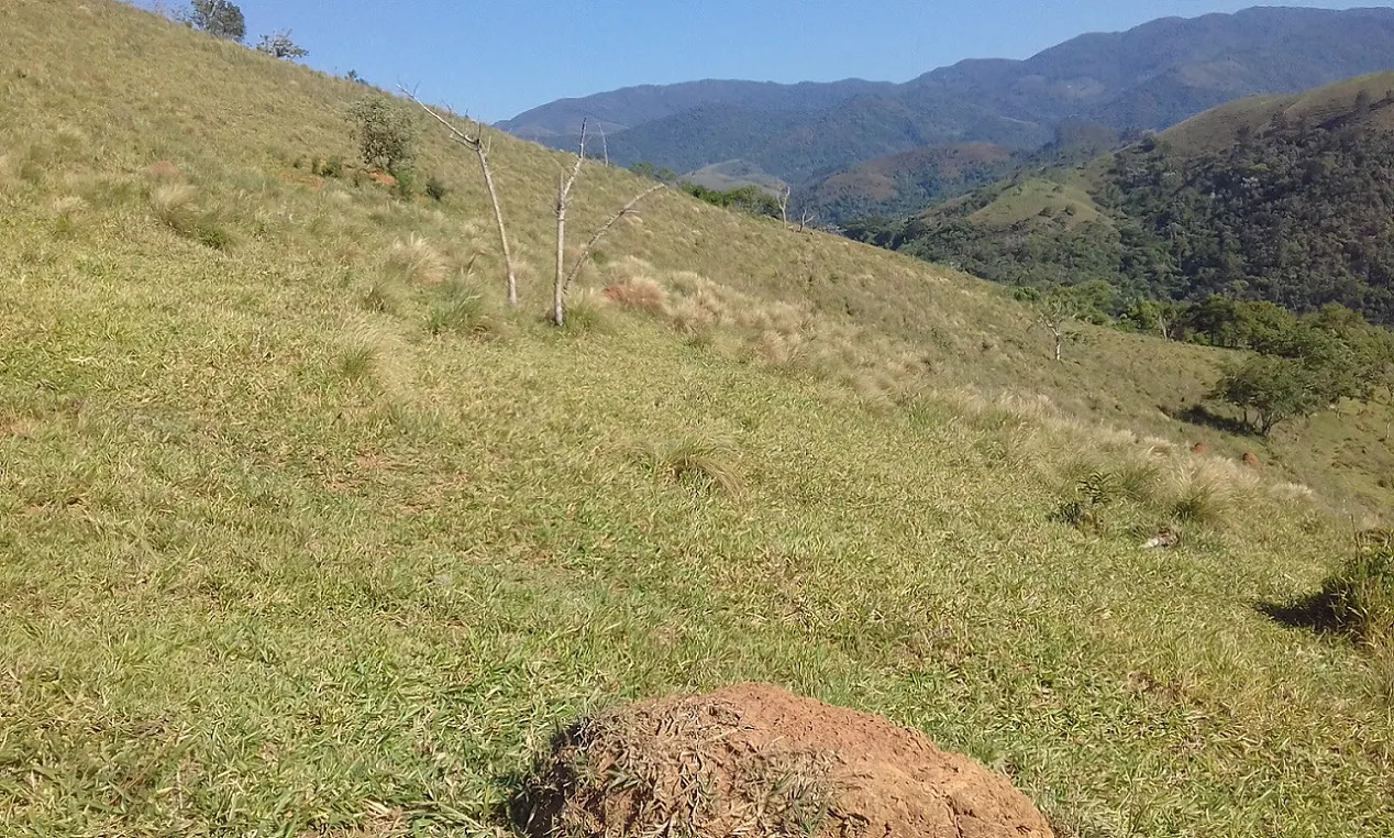 Terreno à venda de 7 ha em Monteiro Lobato, SP, Brasil