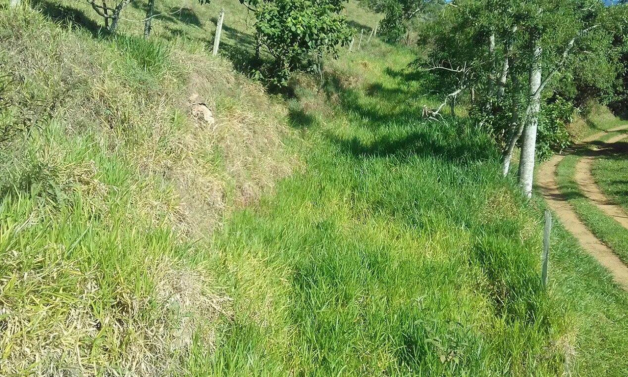 Terreno à venda de 7 ha em Monteiro Lobato, SP, Brasil