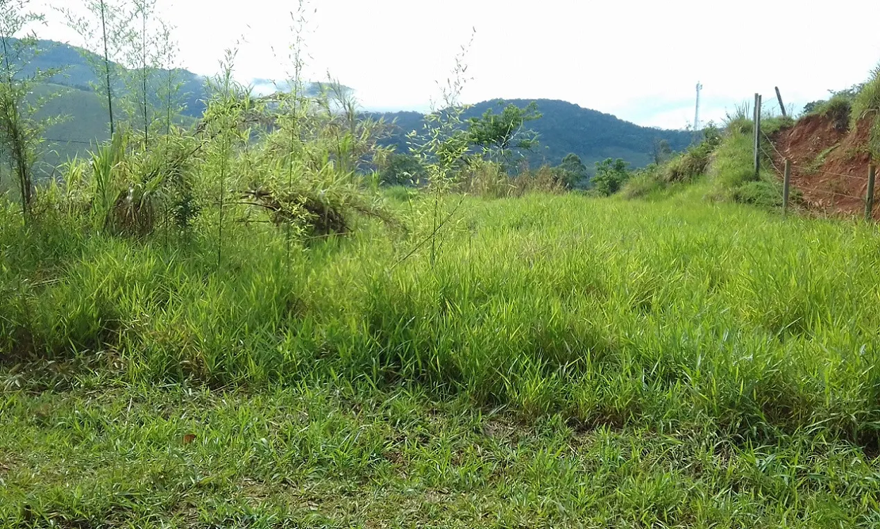 Terreno à venda de 7 ha em Monteiro Lobato, SP, Brasil