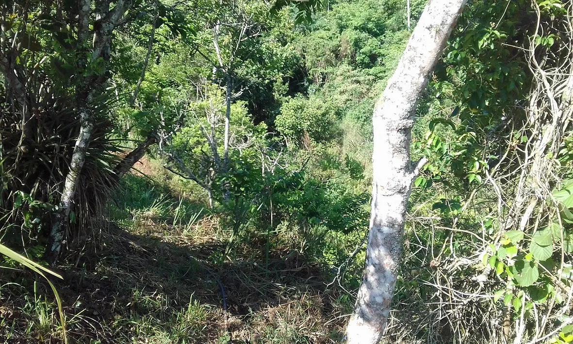 Terreno à venda de 7 ha em Monteiro Lobato, SP, Brasil