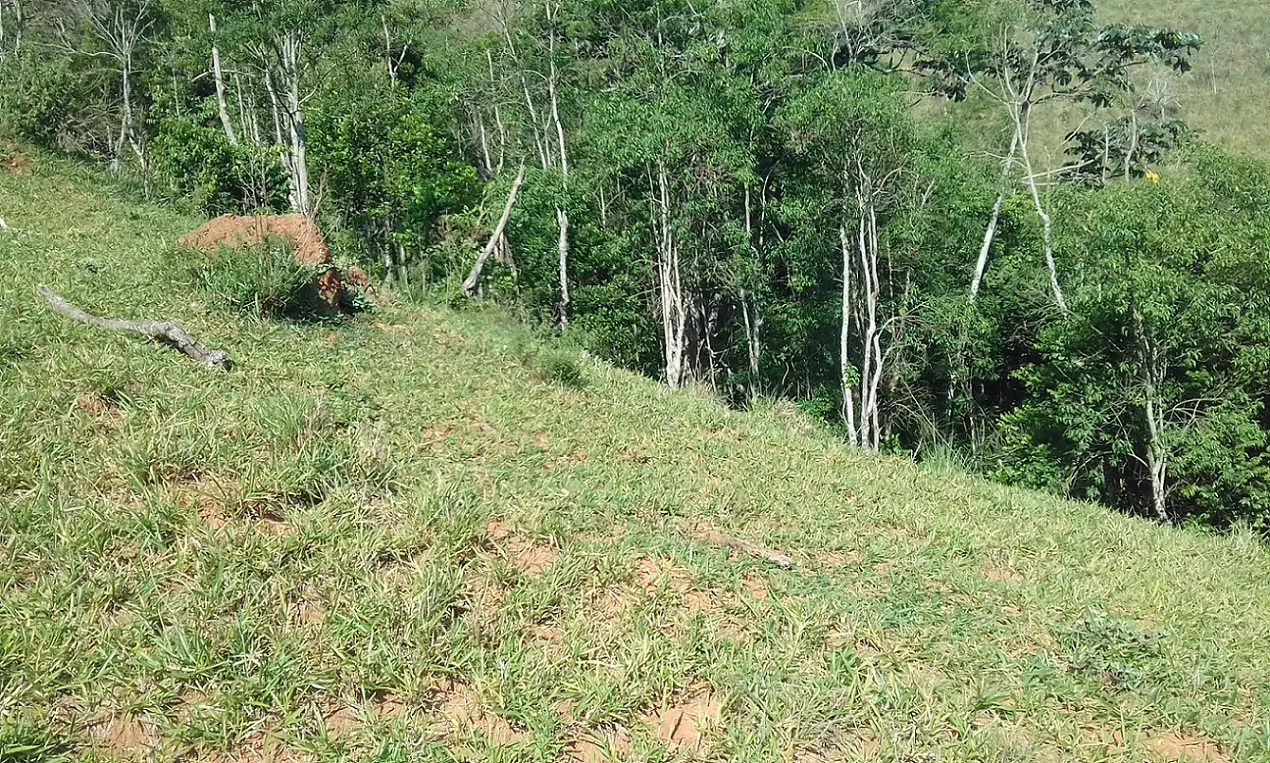 Terreno à venda de 7 ha em Monteiro Lobato, SP, Brasil