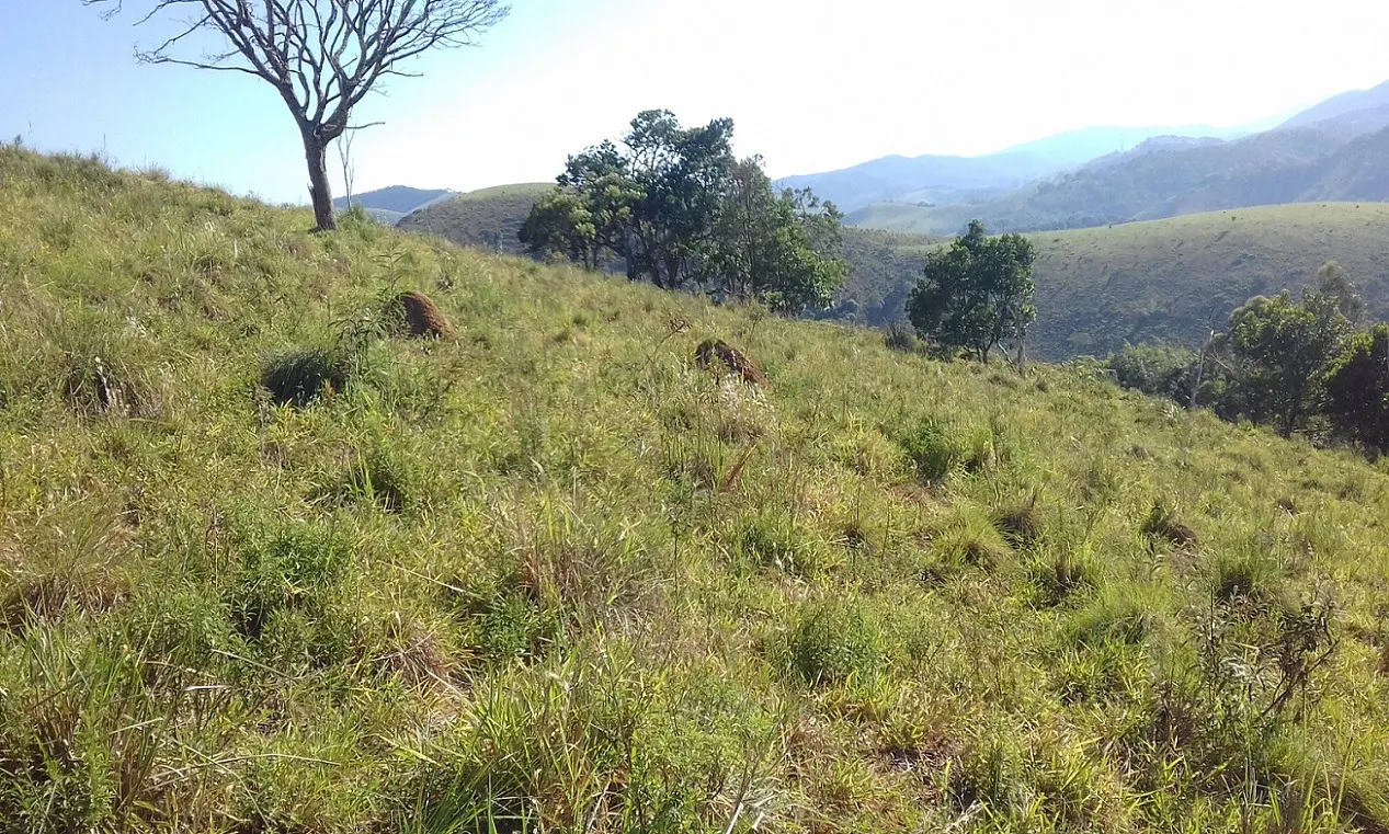 Terreno à venda de 7 ha em Monteiro Lobato, SP, Brasil