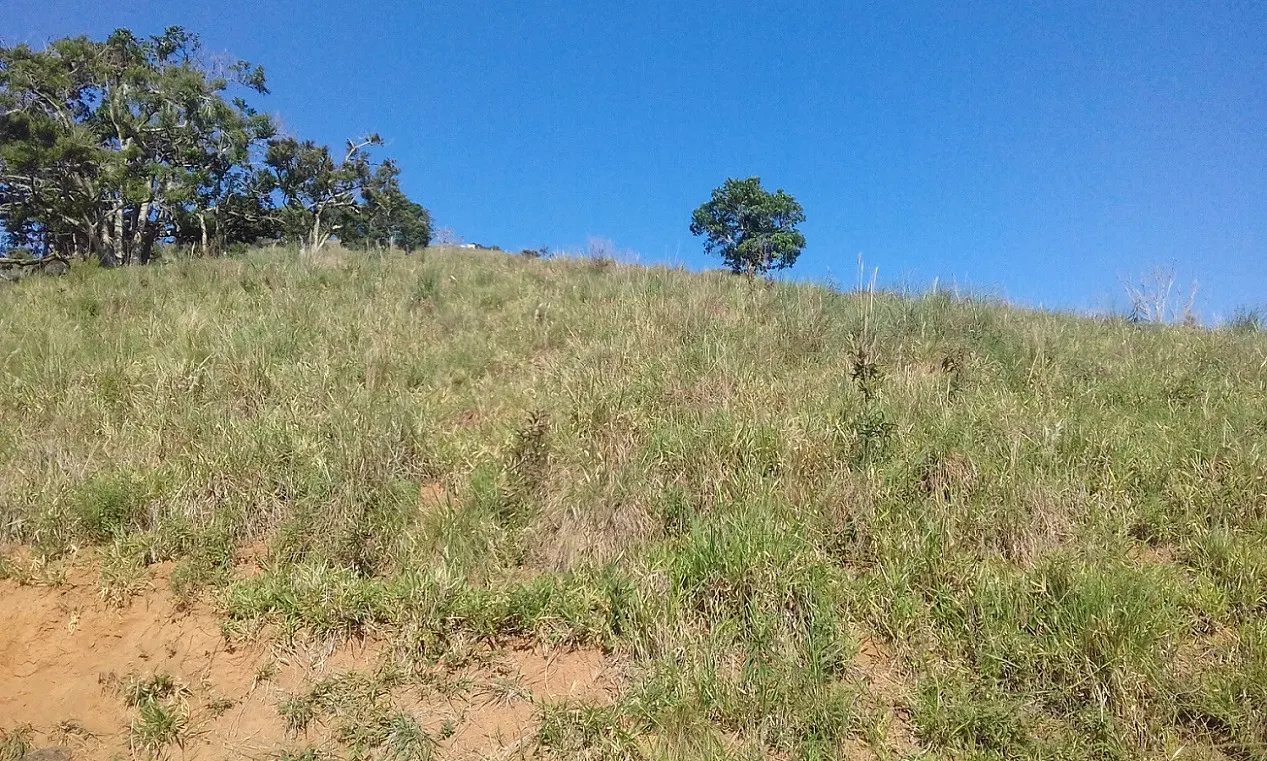 Terreno à venda de 7 ha em Monteiro Lobato, SP, Brasil