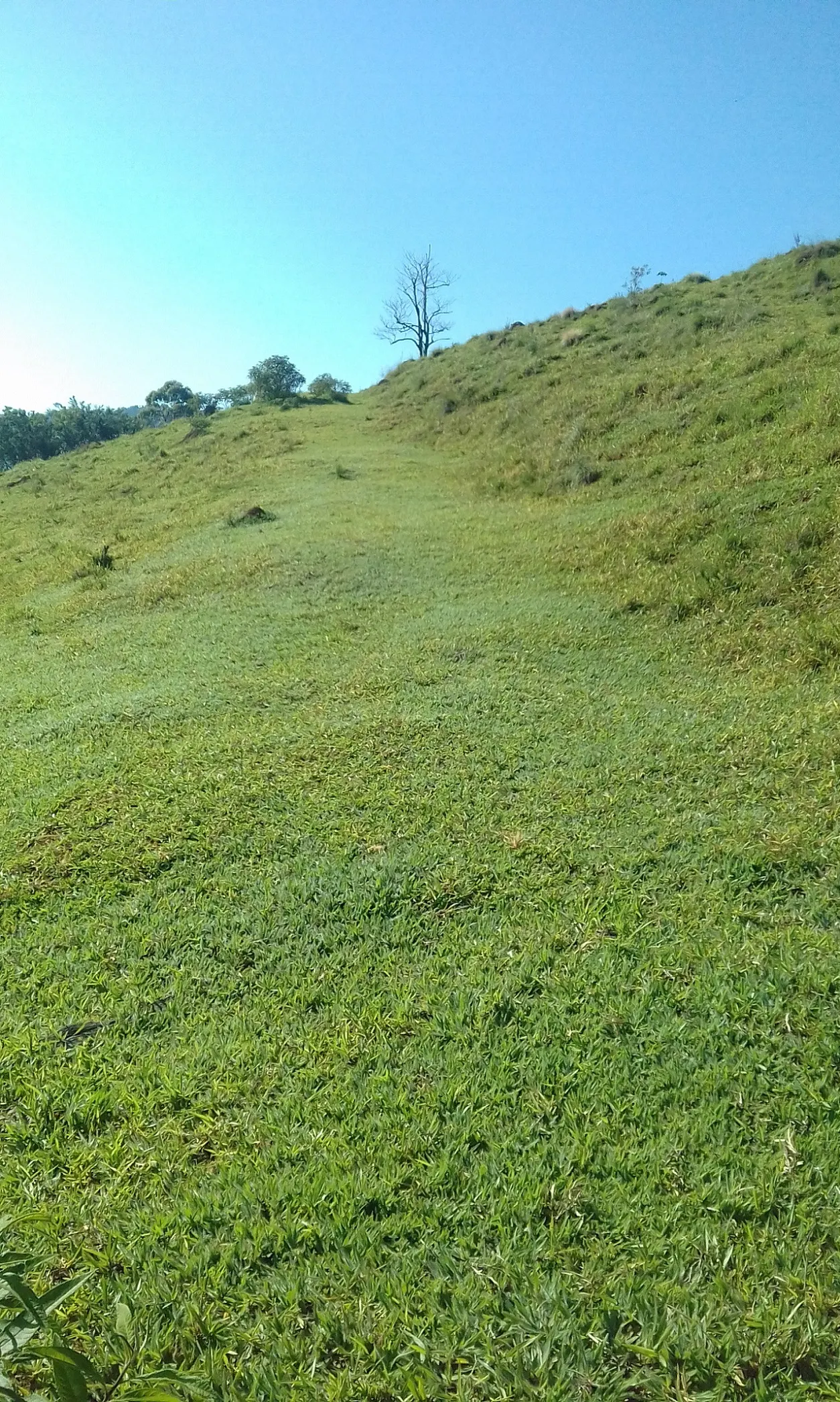 Terreno à venda de 7 ha em Monteiro Lobato, SP, Brasil