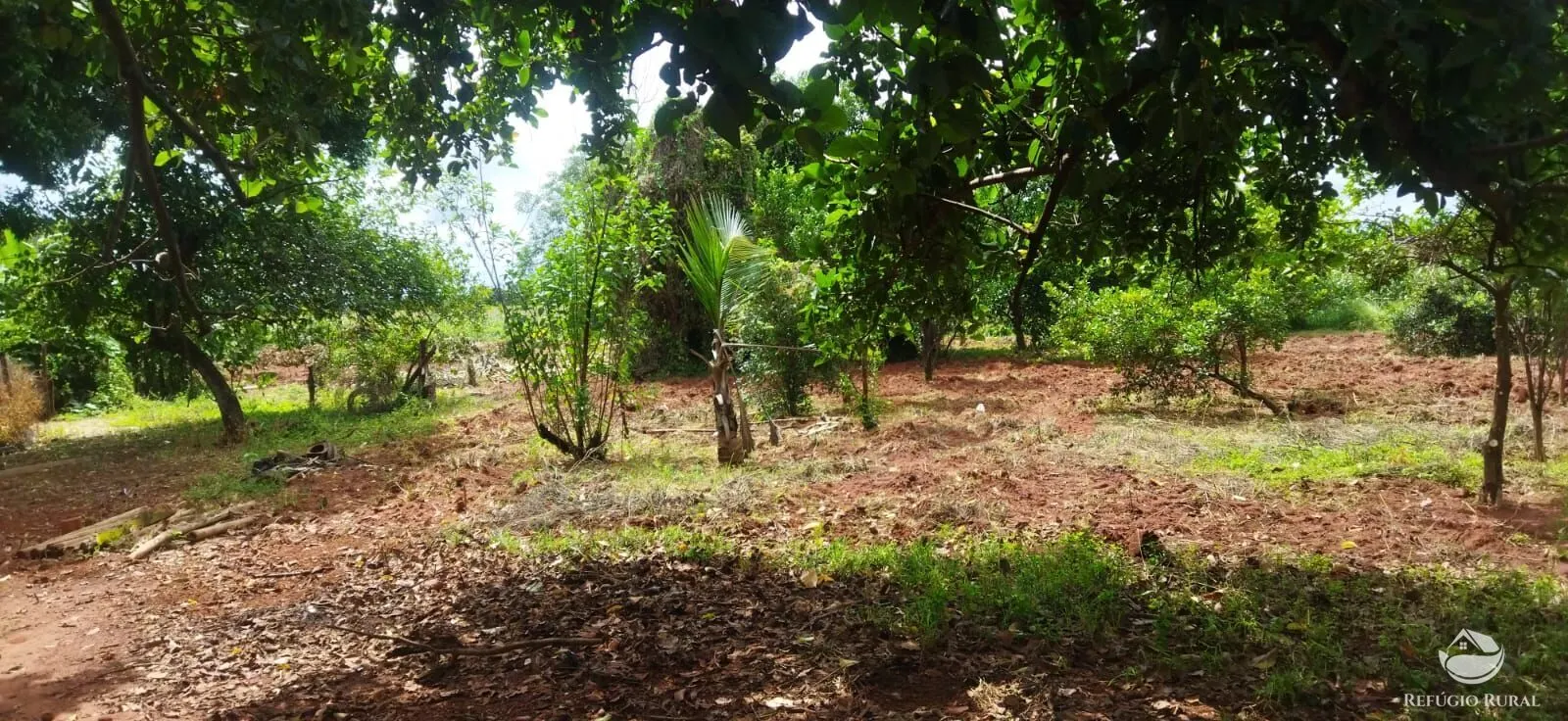 Sítio à venda de 4 ha em Frutal, MG, Brasil