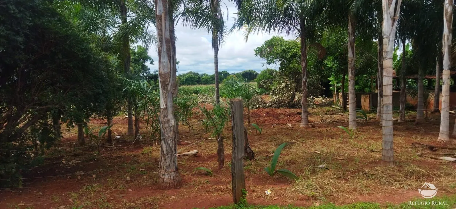 Sítio à venda de 4 ha em Frutal, MG, Brasil