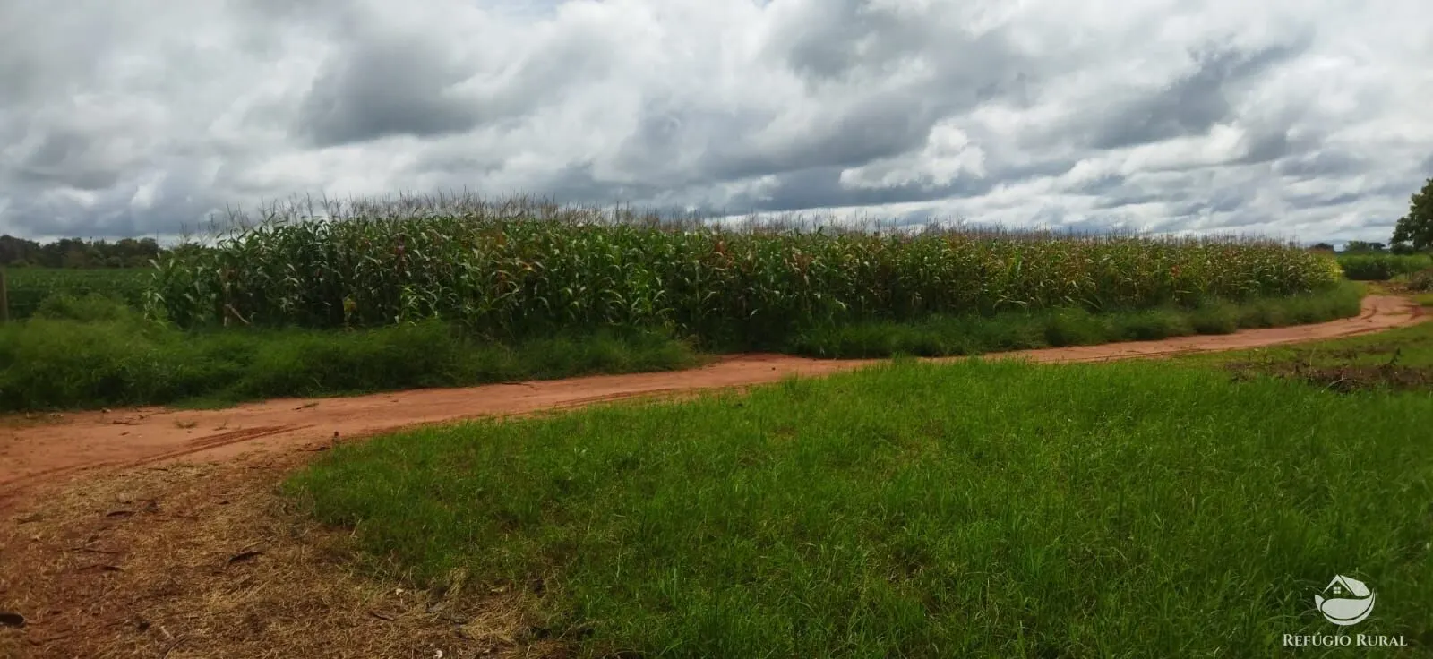 Sítio à venda de 4 ha em Frutal, MG, Brasil