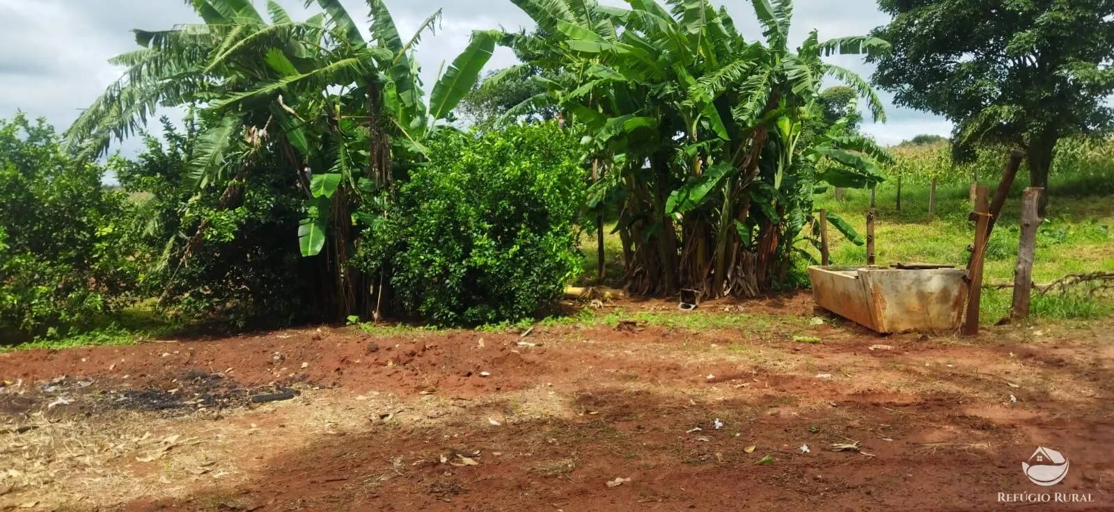 Sítio à venda de 4 ha em Frutal, MG, Brasil