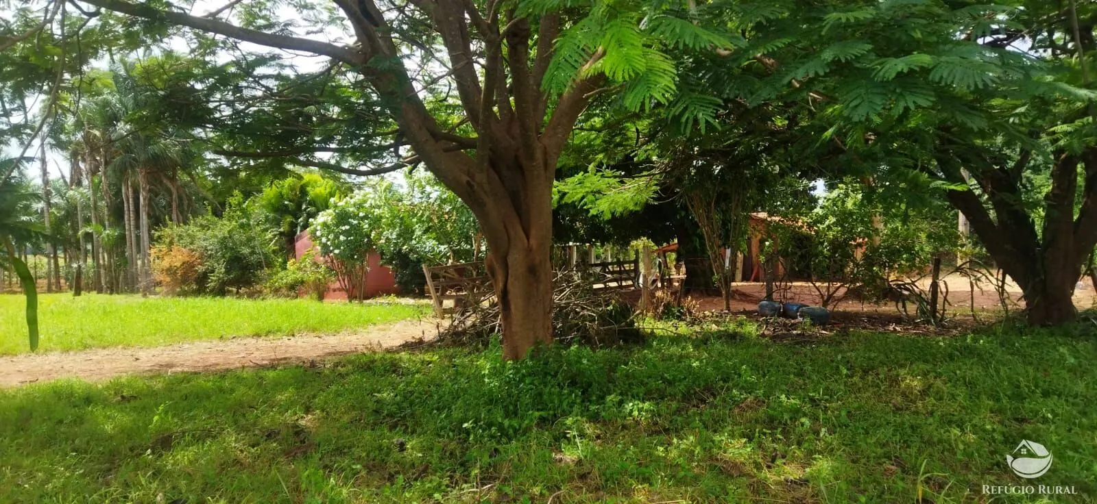 Sítio à venda de 4 ha em Frutal, MG, Brasil