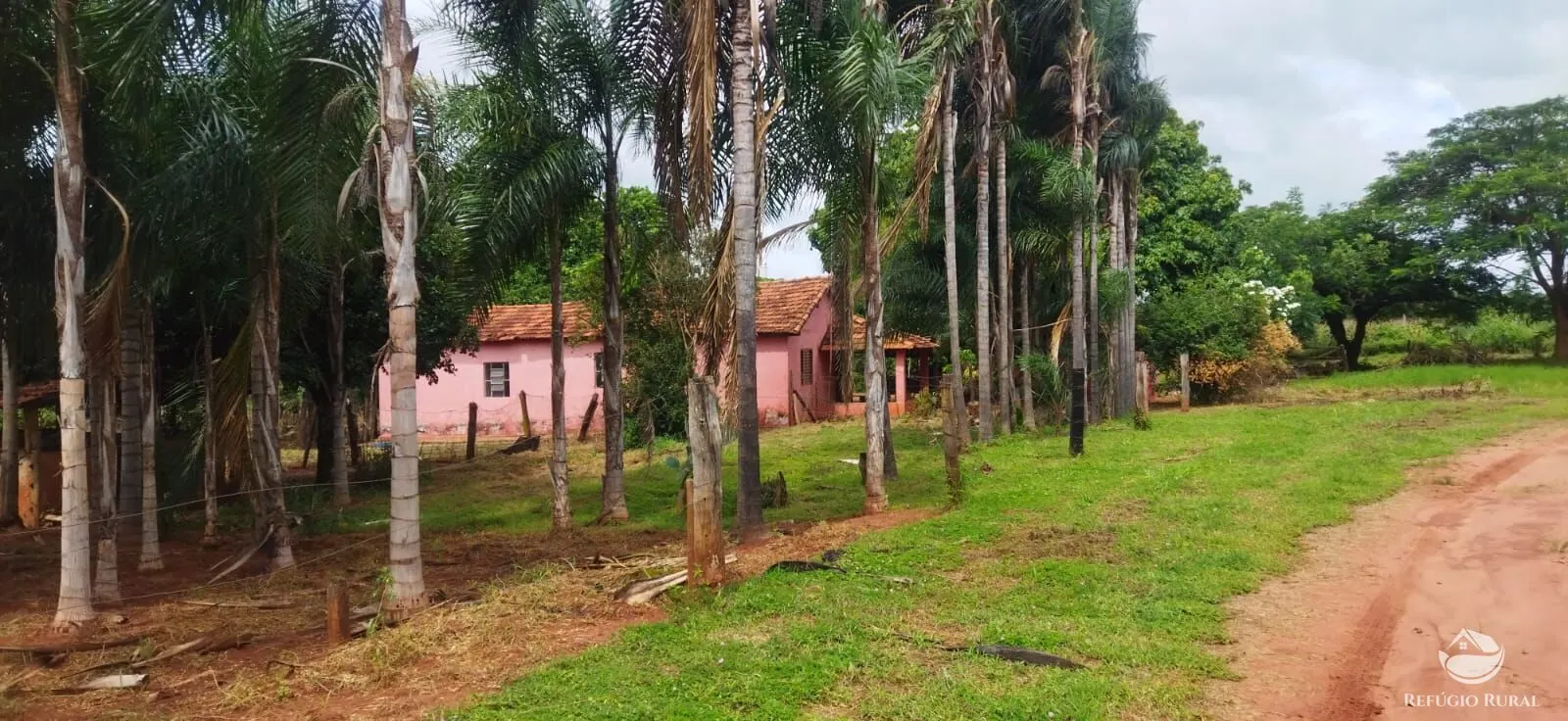Sítio à venda de 4 ha em Frutal, MG, Brasil