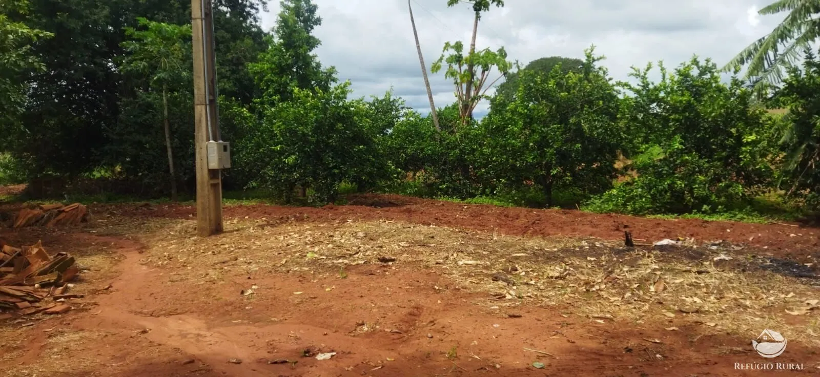 Sítio à venda de 4 ha em Frutal, MG, Brasil