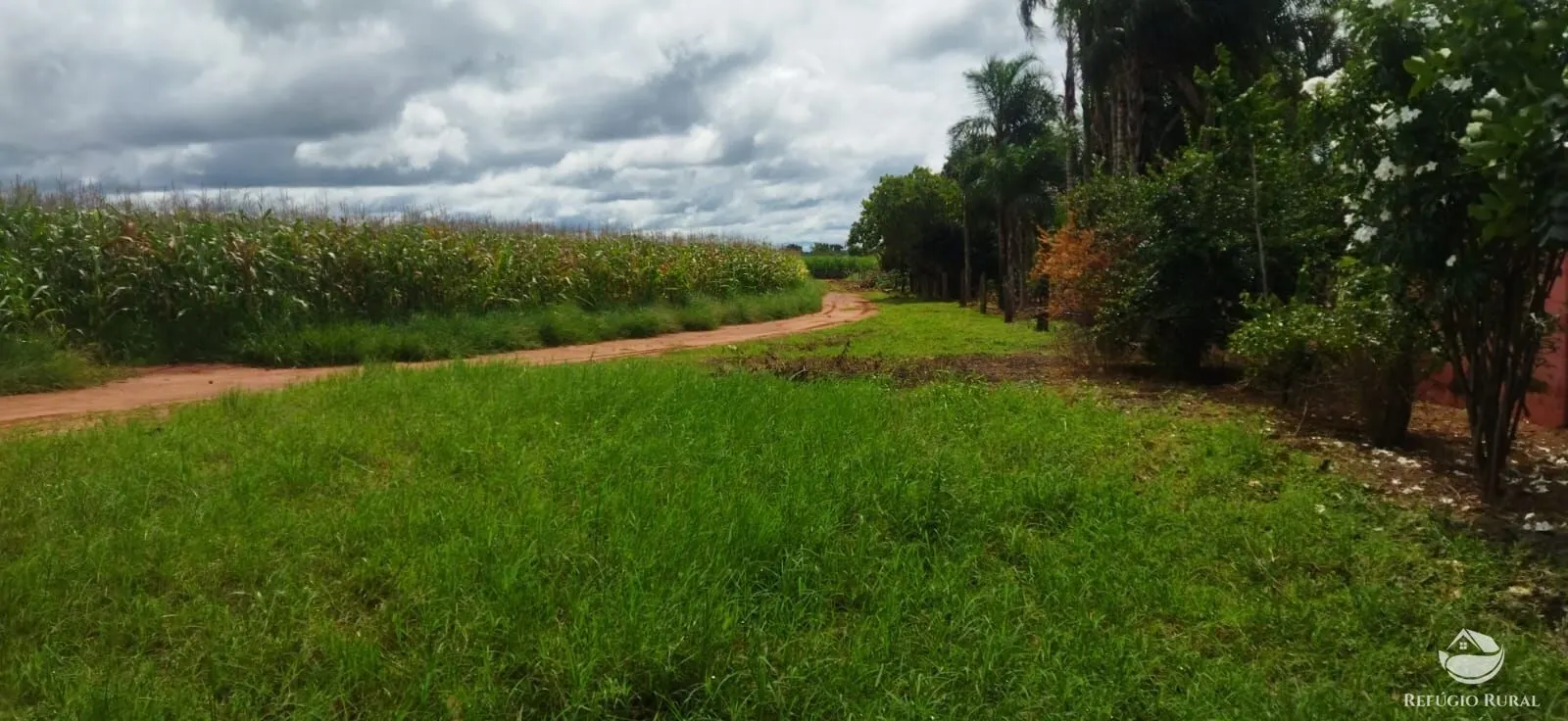 Sítio à venda de 4 ha em Frutal, MG, Brasil