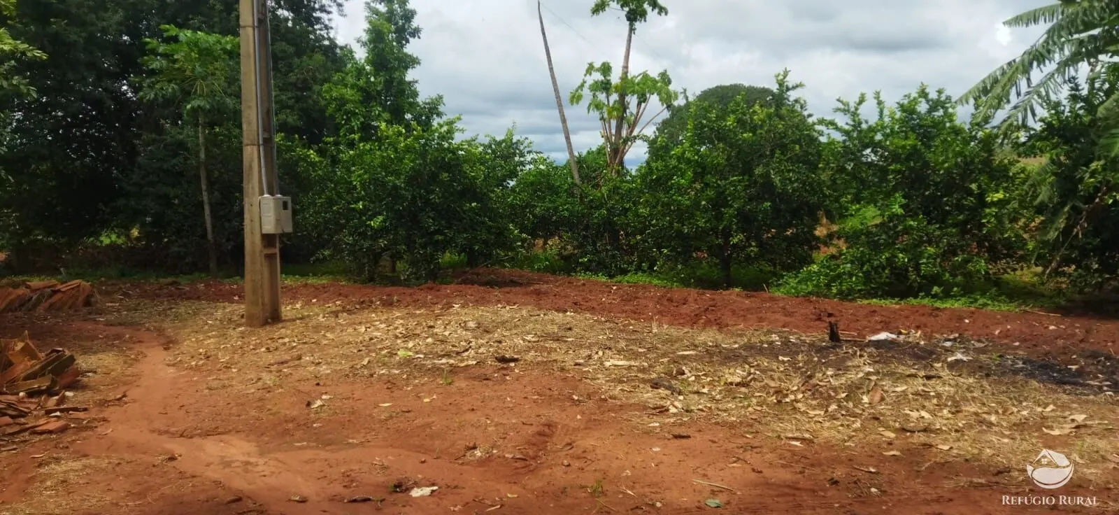 Sítio à venda de 4 ha em Frutal, MG, Brasil