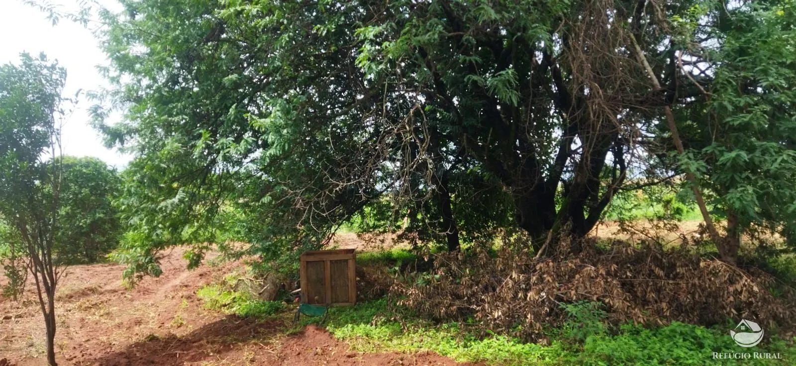 Sítio à venda de 4 ha em Frutal, MG, Brasil