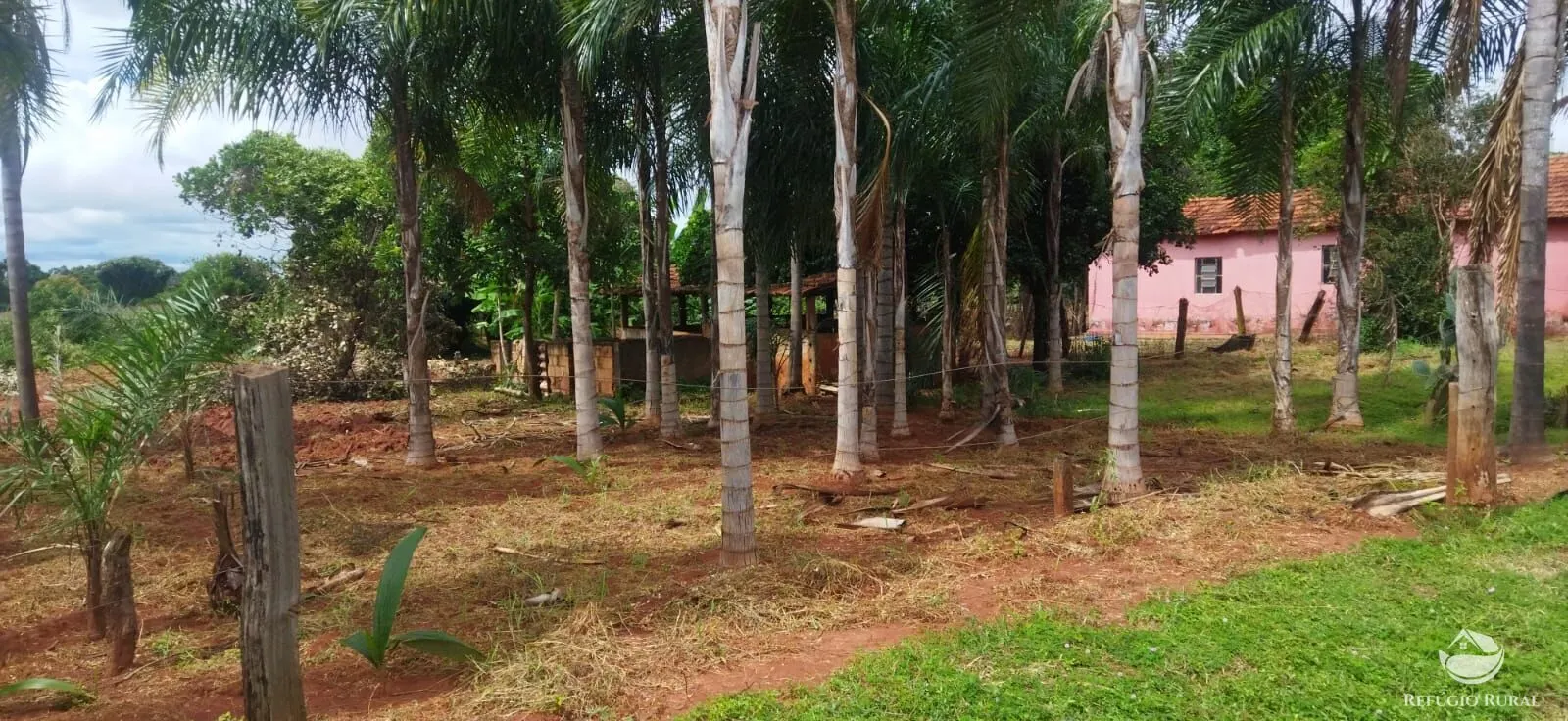 Sítio à venda de 4 ha em Frutal, MG, Brasil