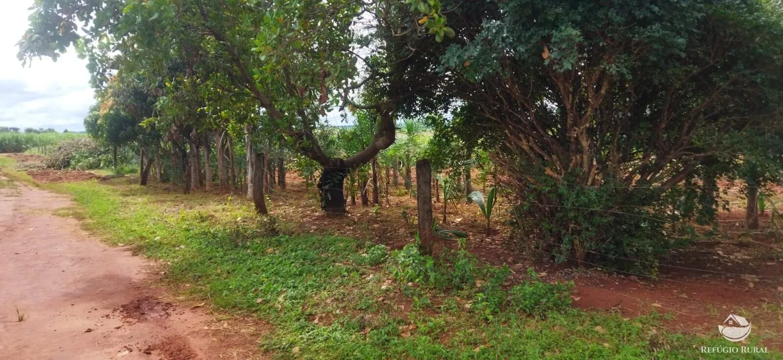 Sítio à venda de 4 ha em Frutal, MG, Brasil