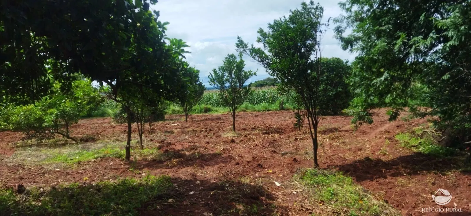 Sítio à venda de 4 ha em Frutal, MG, Brasil