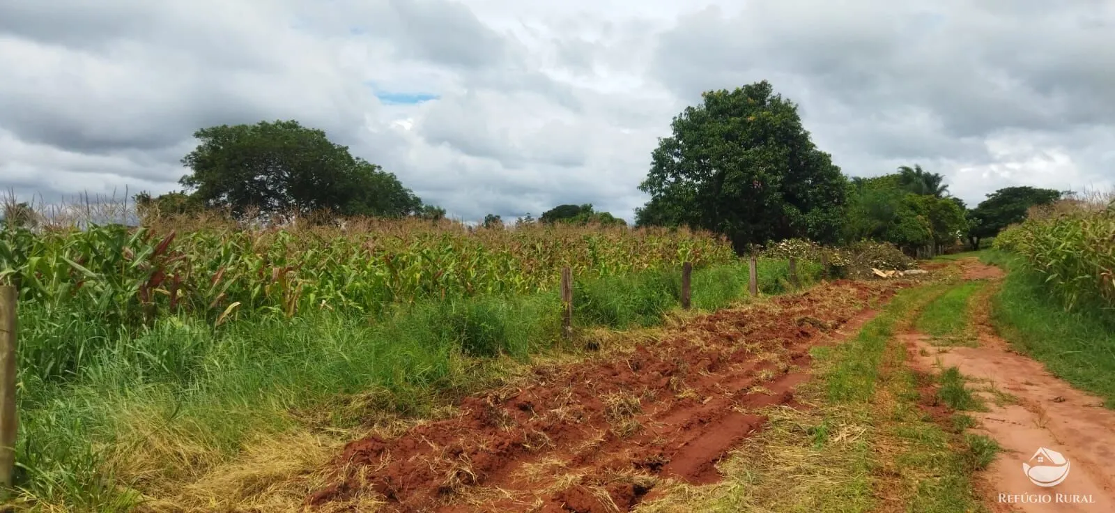Sítio à venda de 4 ha em Frutal, MG, Brasil
