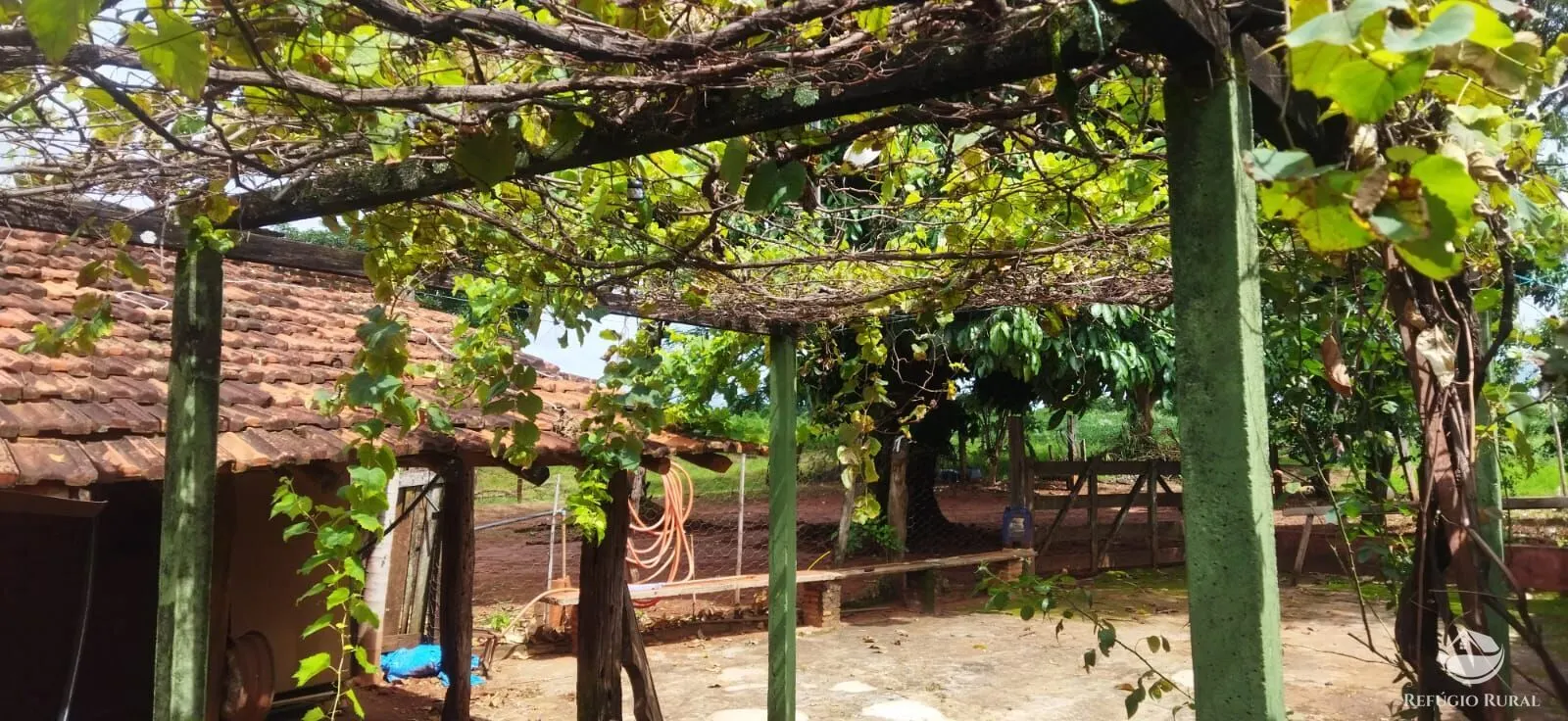 Sítio à venda de 4 ha em Frutal, MG, Brasil