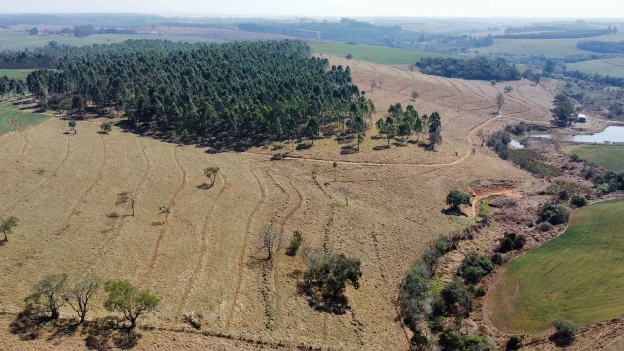 Small farm for sale of 150 acres in Botucatu, SP, Brazil