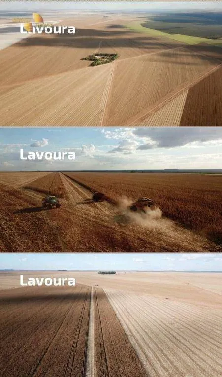 Fazenda à venda de 1.502 ha em Campo Novo do Parecis, MT, Brasil