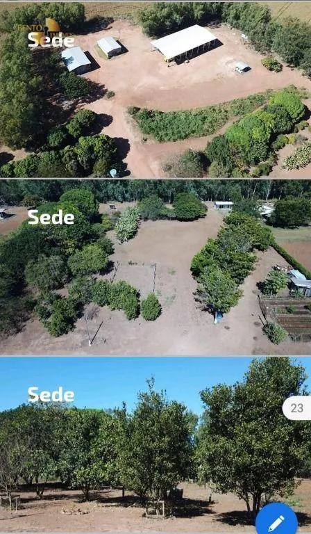 Fazenda à venda de 1.502 ha em Campo Novo do Parecis, MT, Brasil