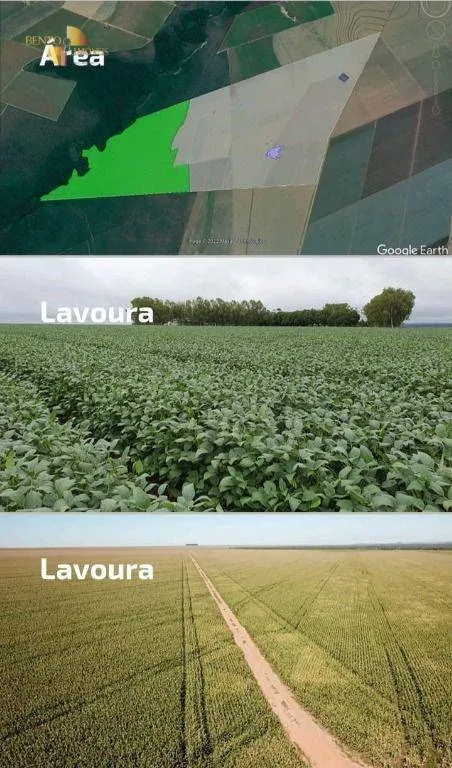 Fazenda à venda de 1.502 ha em Campo Novo do Parecis, MT, Brasil