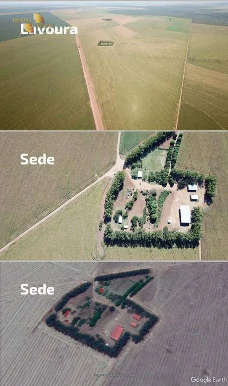 Fazenda à venda de 1.502 ha em Campo Novo do Parecis, MT, Brasil