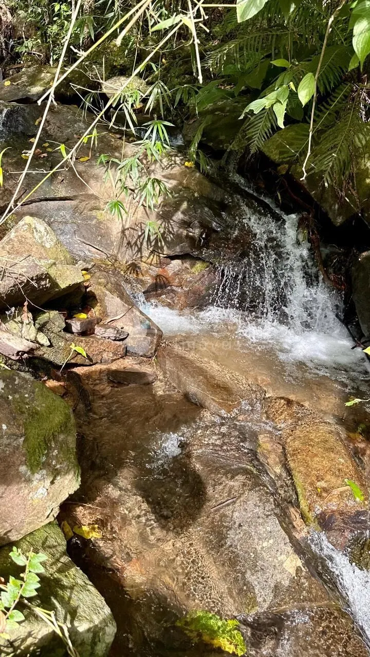 Chácara à venda de 30 ha em Nova Trento, SC, Brasil