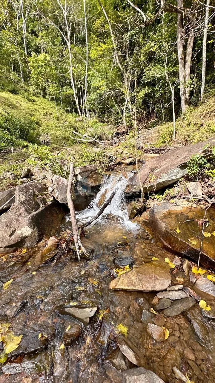 Chácara à venda de 30 ha em Nova Trento, SC, Brasil