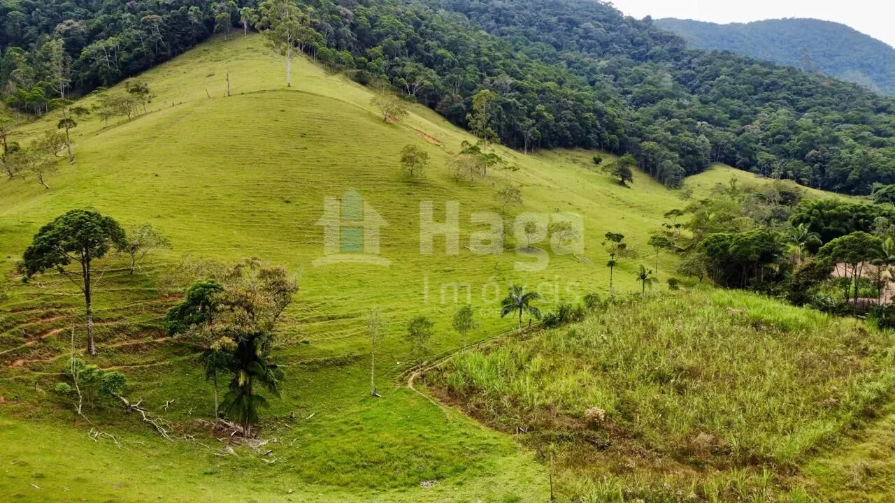Chácara à venda de 30 ha em Nova Trento, SC, Brasil
