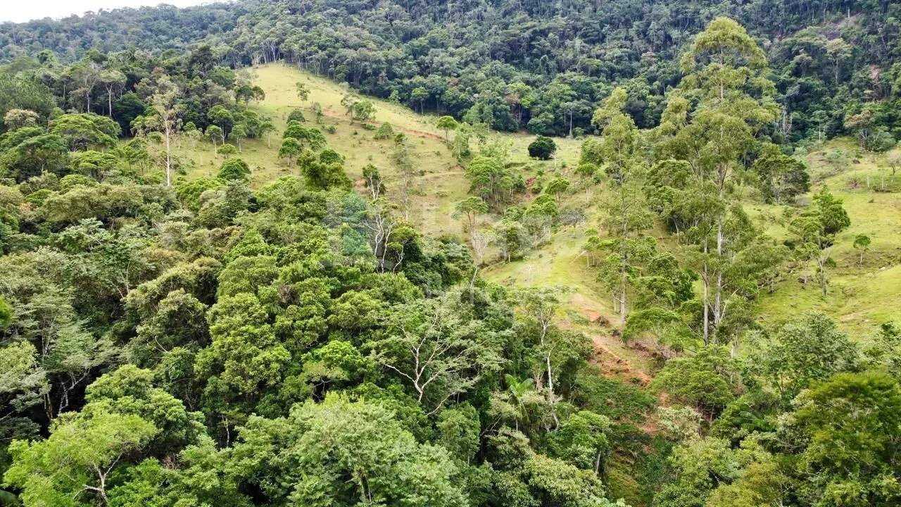 Chácara à venda de 30 ha em Nova Trento, SC, Brasil