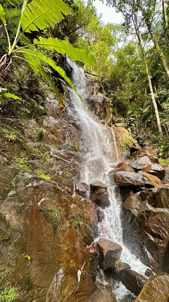 Chácara à venda de 30 ha em Nova Trento, SC, Brasil