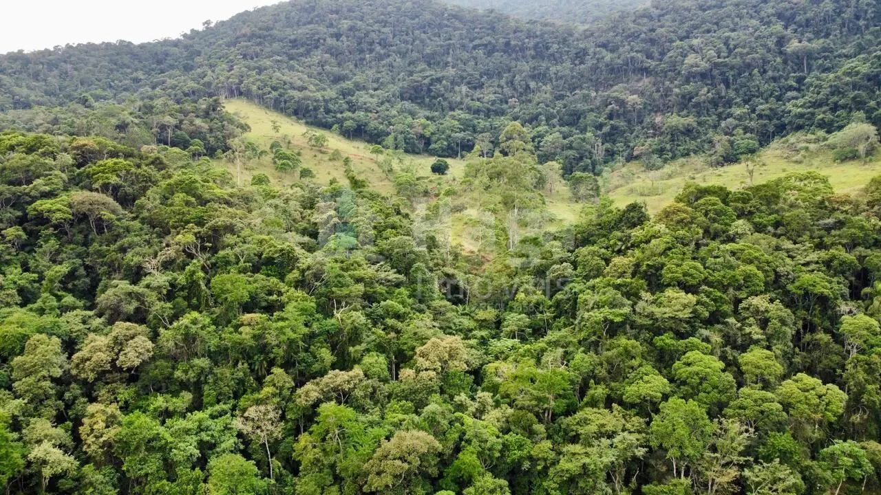 Chácara à venda de 30 ha em Nova Trento, SC, Brasil
