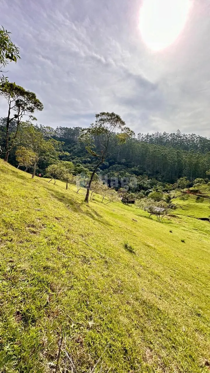 Chácara à venda de 30 ha em Nova Trento, SC, Brasil