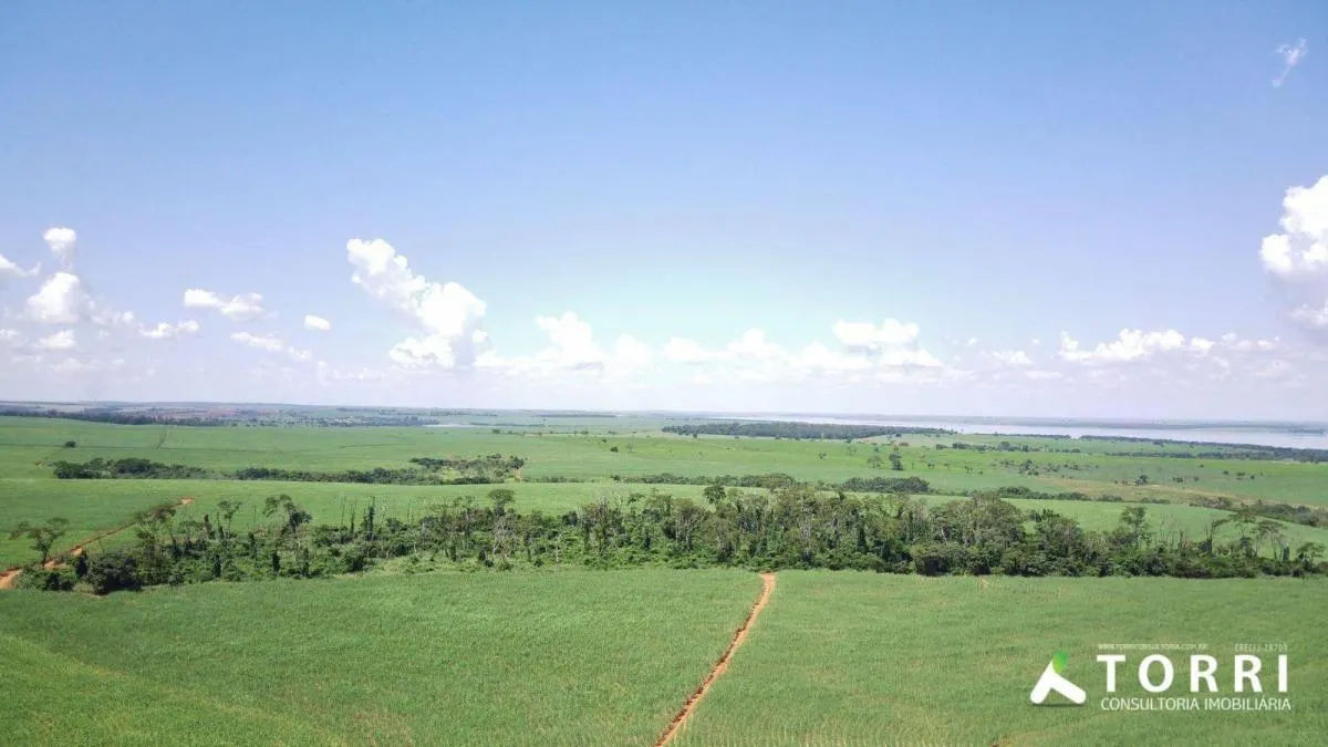 Fazenda à venda de 491 ha em Araçatuba, SP, Brasil