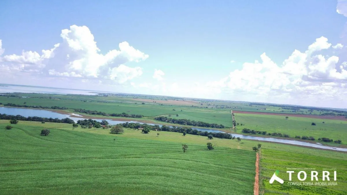 Fazenda à venda de 491 ha em Araçatuba, SP, Brasil