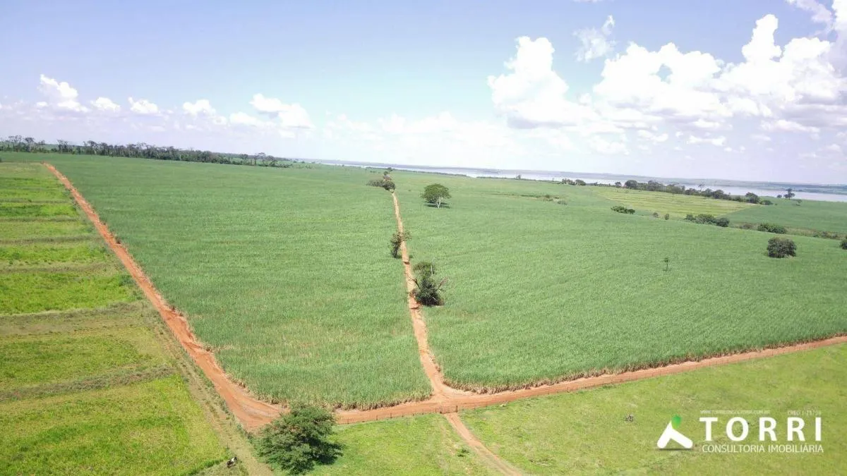 Fazenda à venda de 491 ha em Araçatuba, SP, Brasil