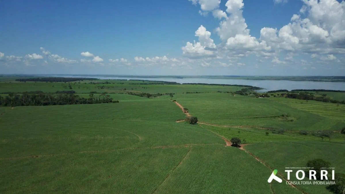 Fazenda à venda de 491 ha em Araçatuba, SP, Brasil