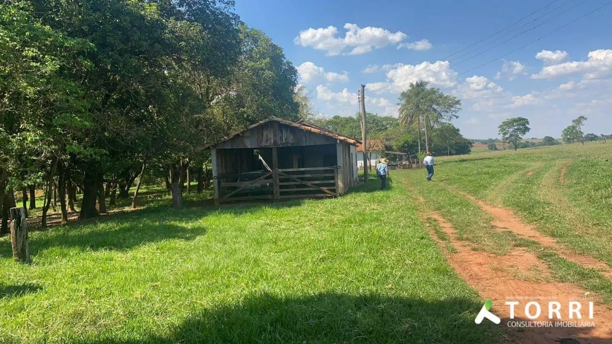 Fazenda à venda de 491 ha em Araçatuba, SP, Brasil