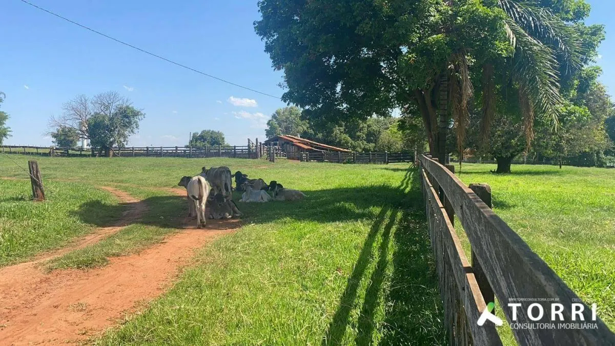 Fazenda à venda de 491 ha em Araçatuba, SP, Brasil