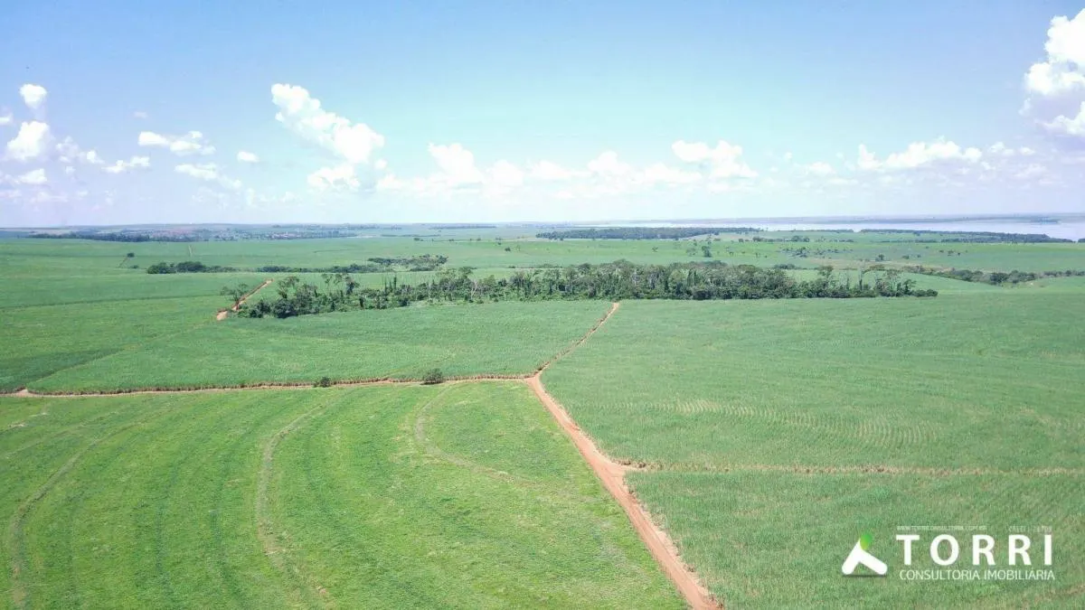 Fazenda à venda de 491 ha em Araçatuba, SP, Brasil