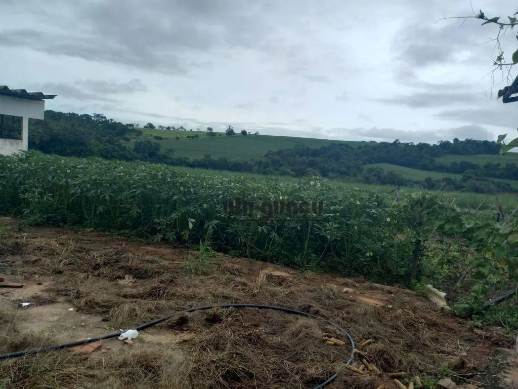 Fazenda à venda de 399 ha em Itapetininga, SP, Brasil