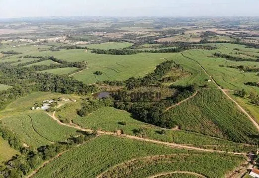 Fazenda à venda de 399 ha em Itapetininga, SP, Brasil