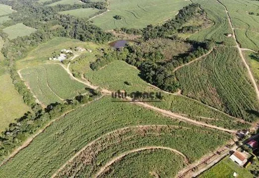 Fazenda à venda de 399 ha em Itapetininga, SP, Brasil